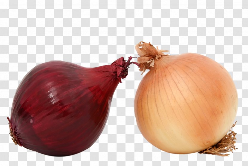Yellow Onion Shallot Red Food Health Transparent PNG