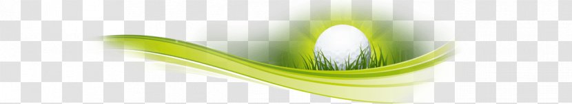 Product Design Close-up - Grass - Digital Flyers Transparent PNG