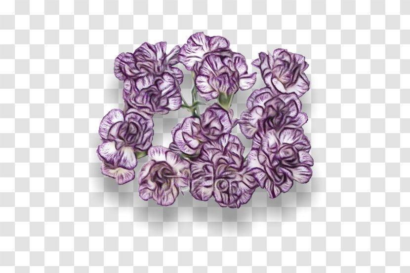 Purple Watercolor Flower - Viola Morning Glory Transparent PNG