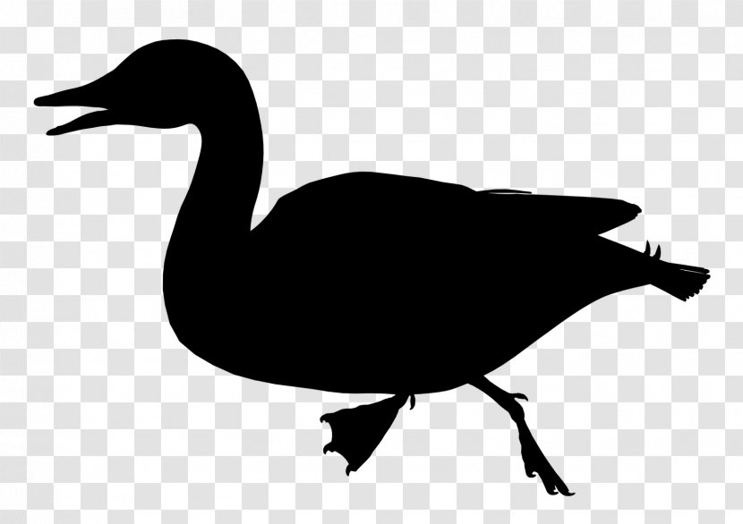 Duck Goose Clip Art Fowl Fauna - Wing Transparent PNG