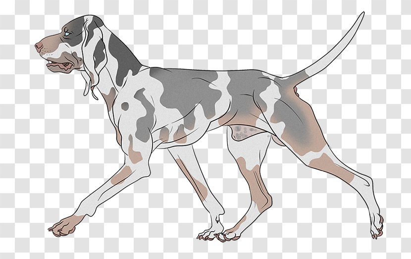 Treeing Walker Coonhound English Foxhound American Finnish Hound Beagle - The Boss Baby: Coloring Book For Kids And Adults + Transparent PNG