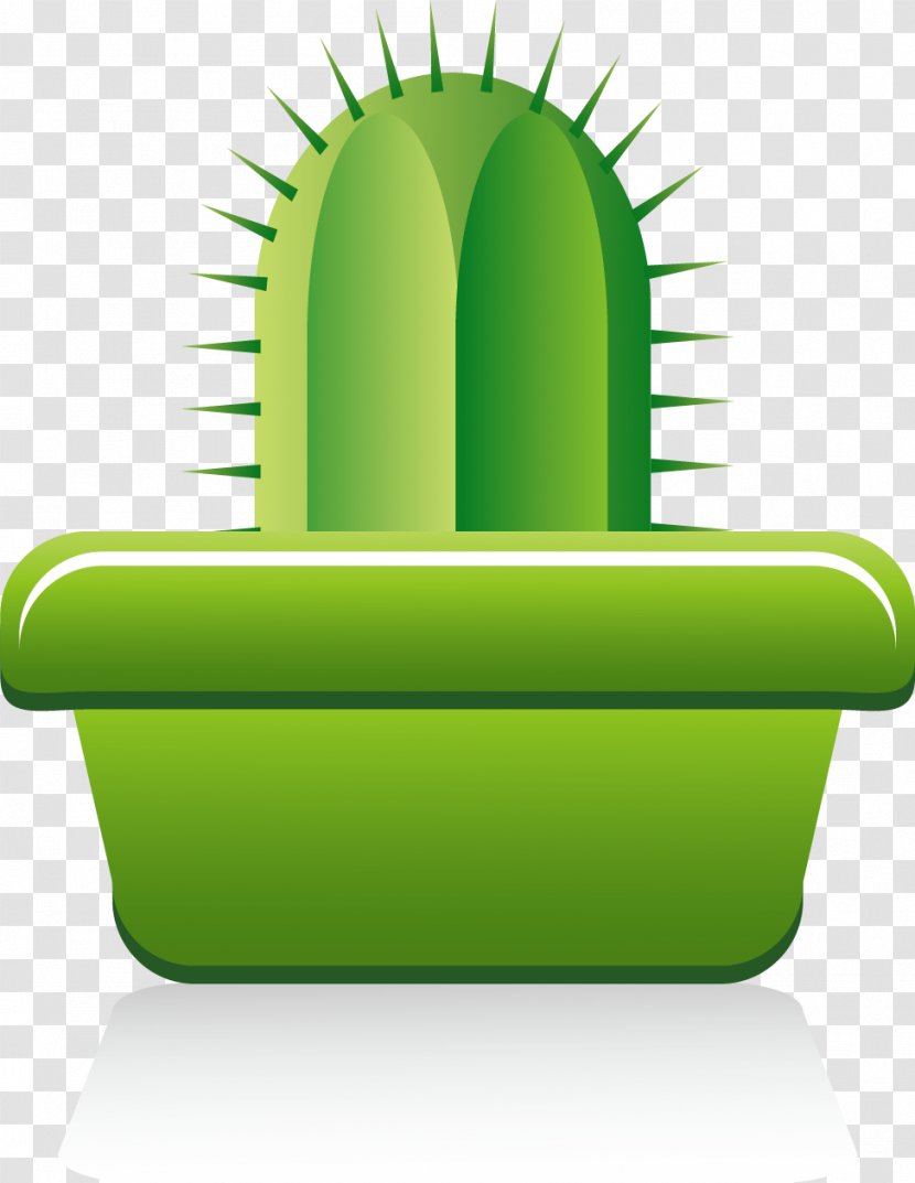Cactaceae Green - Cactus - Stock Image Transparent PNG