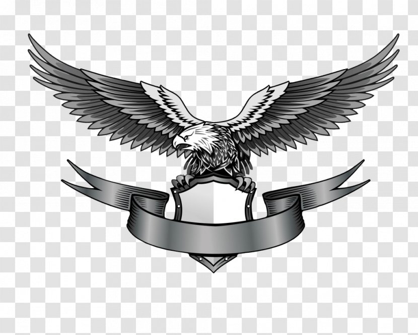 Eagle Logo Clip Art - Beak - Image Download Transparent PNG