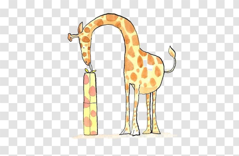 Northern Giraffe Cartoon Drawing Transparent PNG