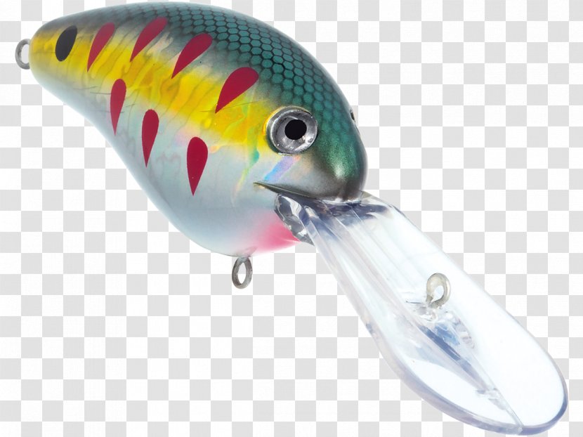 Spoon Lure Fishing Baits & Lures Perch Fresh Water - Fish - Large Mouth Bass Transparent PNG