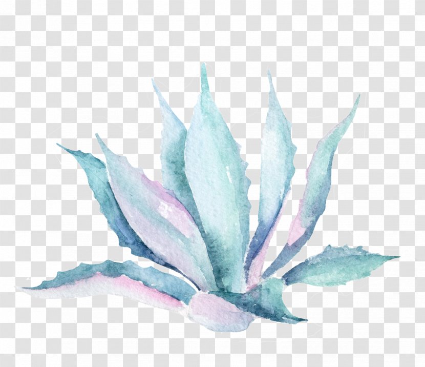 Watercolor Flower Background - Aloe - Perennial Plant Transparent PNG