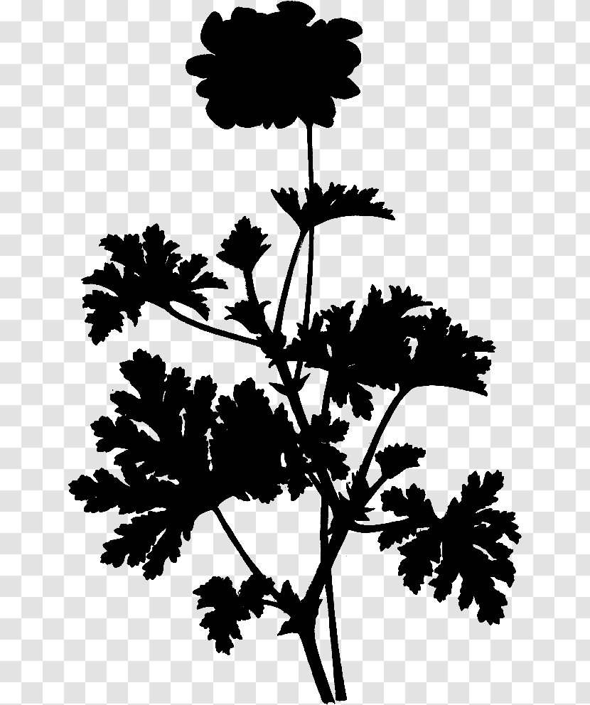 M / 0d Housekeeping Leaf Flower Garden - Monochrome Photography - Do It Yourself Transparent PNG