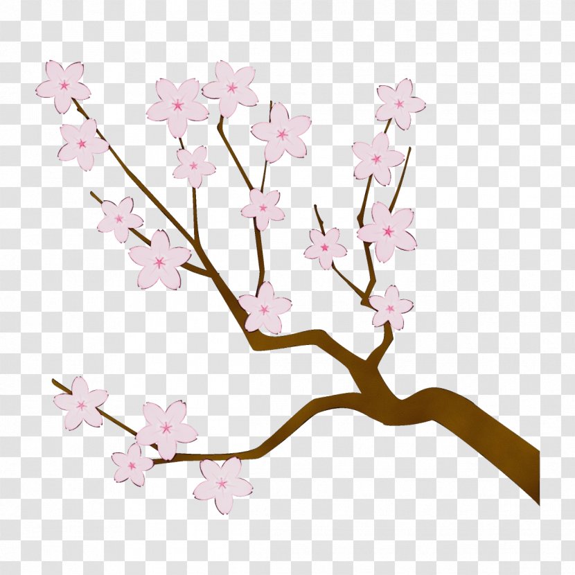 Cherry Blossom - Paint - Twig Tree Transparent PNG