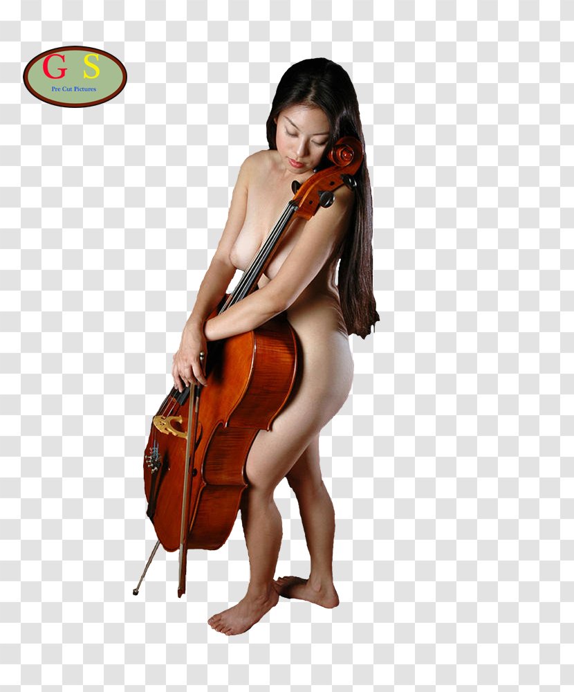 Violone Cello Double Bass Viola Violin - Flower Transparent PNG