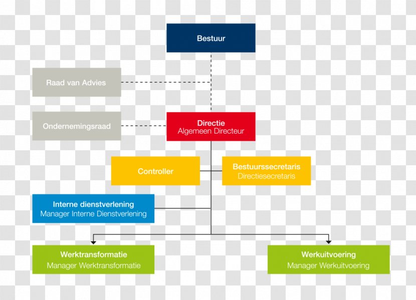 Organizational Chart Structure Afacere Board Of Directors - Dienstverlening - School Model Transparent PNG