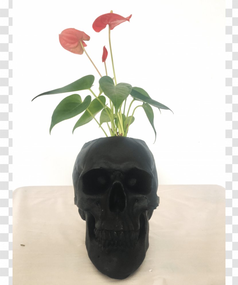Artificial Flower Vase Skull - Plant Transparent PNG