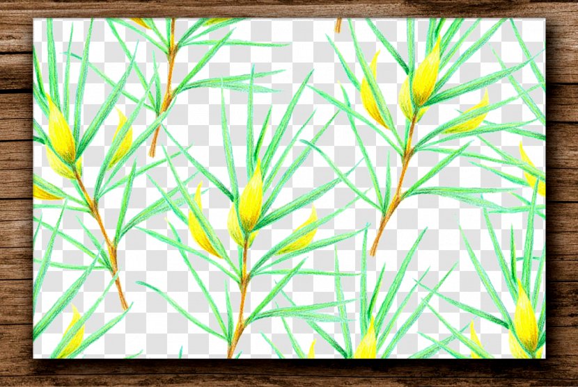 Plant Euclidean Vector - Rectangle - Hand-painted Floral Motifs Frame Transparent PNG
