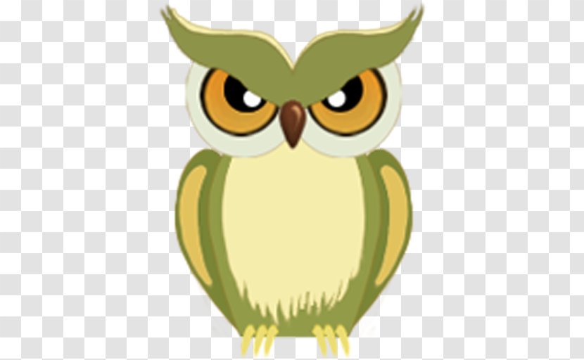 Owl Clip Art Illustration Green Beak Transparent PNG