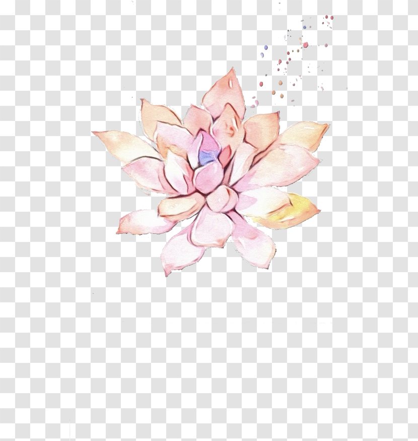 Pink Petal Flower Lotus Family Plant - Sacred Aquatic Transparent PNG