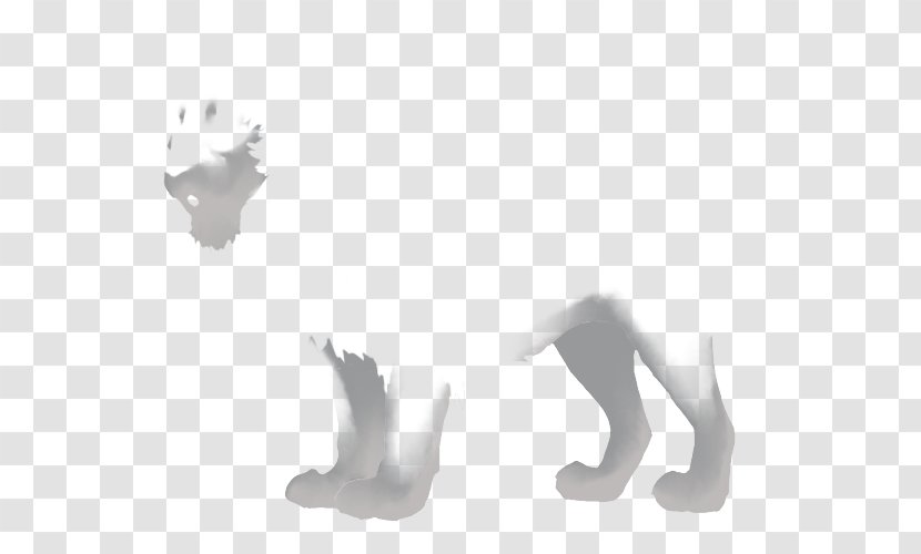 Canidae Dog White - Monochrome Photography Transparent PNG
