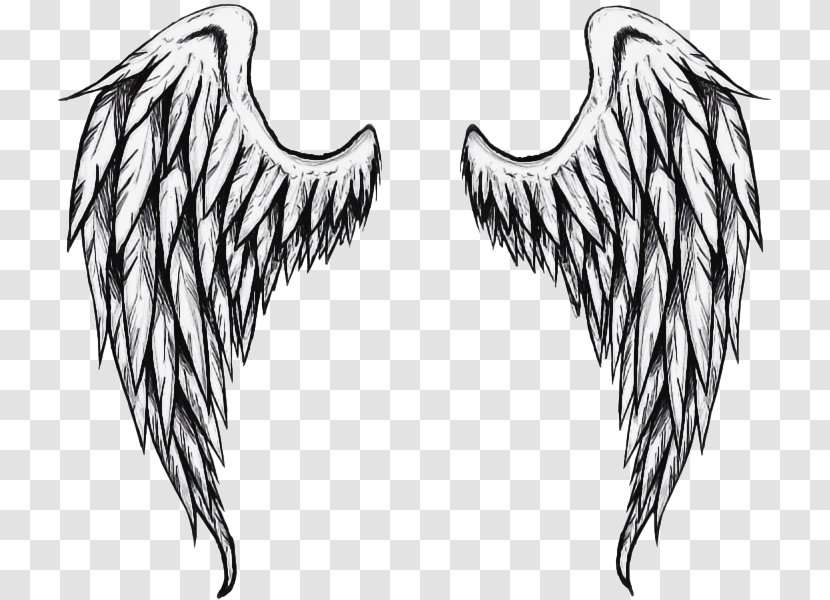 Angel Cartoon - Drawing - Feather Blackandwhite Transparent PNG