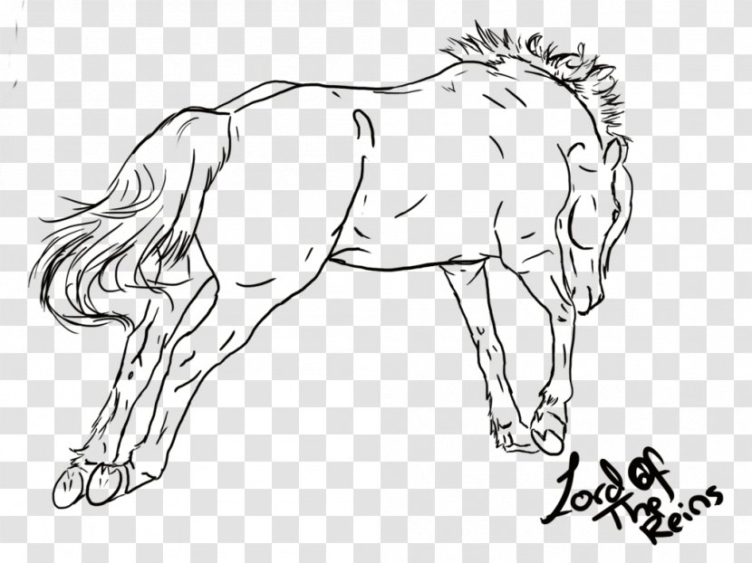 Mane Foal Mustang Colt Halter - Animal Transparent PNG
