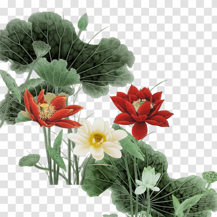 Floral Design Download Nelumbo Nucifera - Flower Arranging - Lotus Transparent PNG