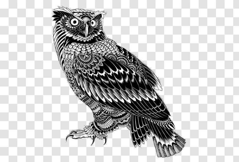 Doodle Owl Illustrator Drawing Illustration - Work Of Art - Burung Hantu Transparent PNG