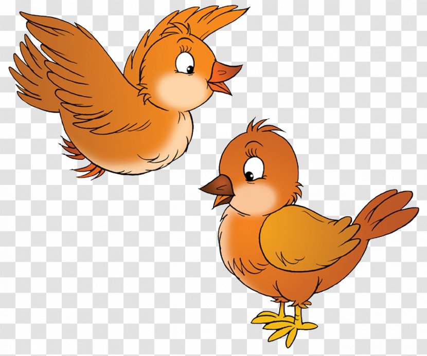 Bird Clip Art - Cartoon - Nest Transparent PNG