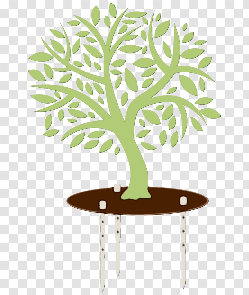 Tree Flowerpot Leaf Plant Houseplant - Branch Stem Transparent PNG