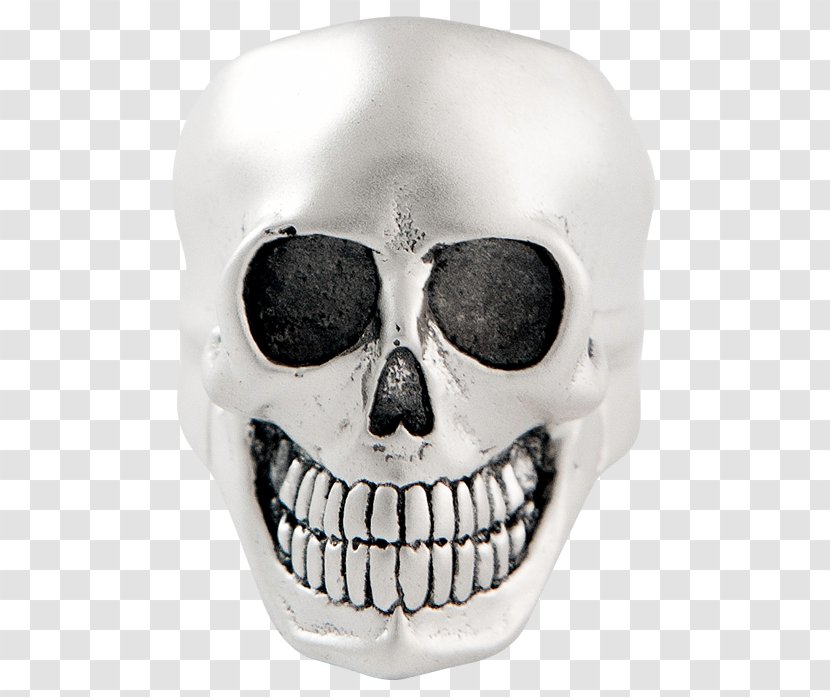 Skull Skeleton - Bone - Guns Transparent PNG