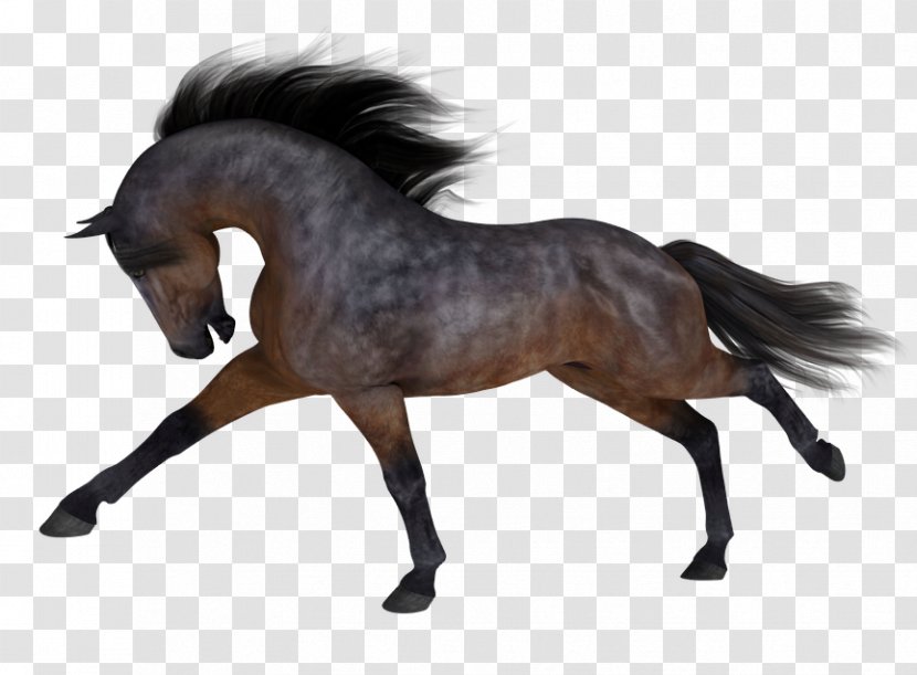 DAS Productions Inc Mustang Stallion Pony DAZ Studio - Poser - Knight Horse Transparent PNG