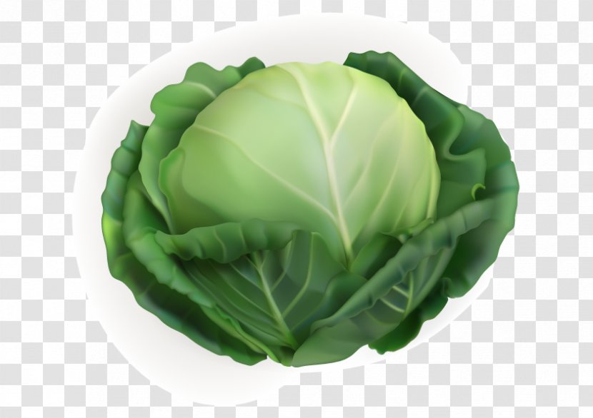 White Cabbage Vegetable Chinese - Red - Spinach Vegetables Transparent PNG