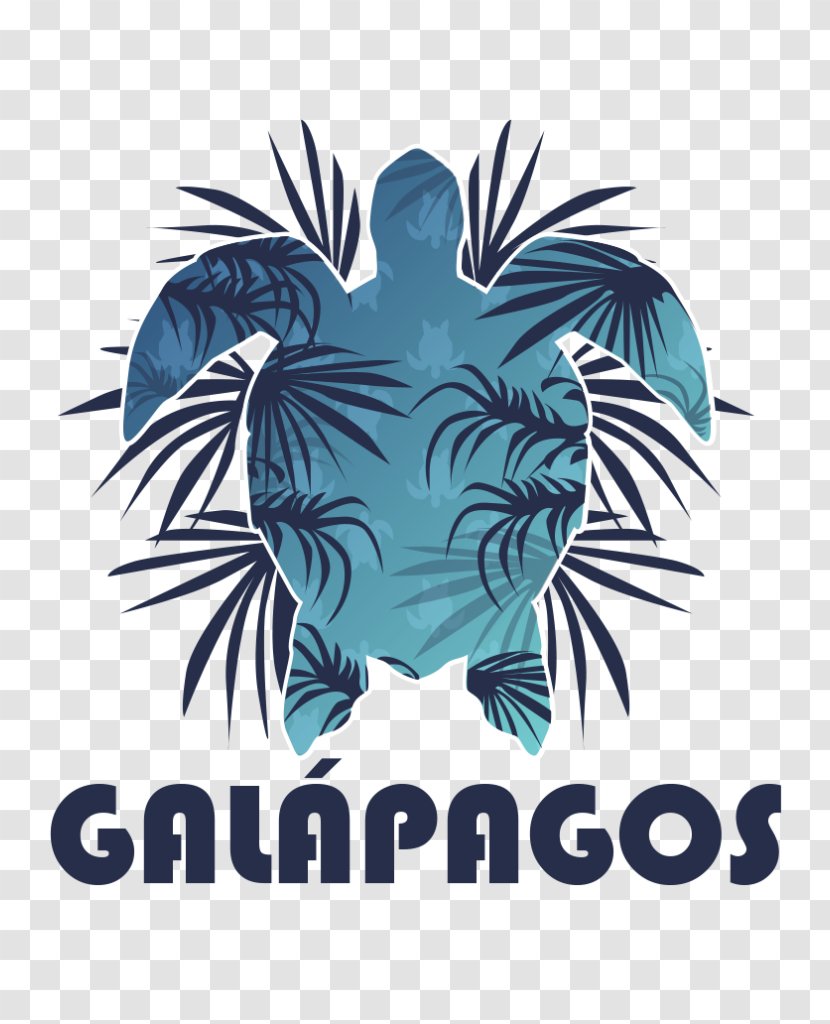 Galápagos Islands Santa Cruz Island Puerto Baquerizo Moreno Baltra Isabela - Tourism Transparent PNG