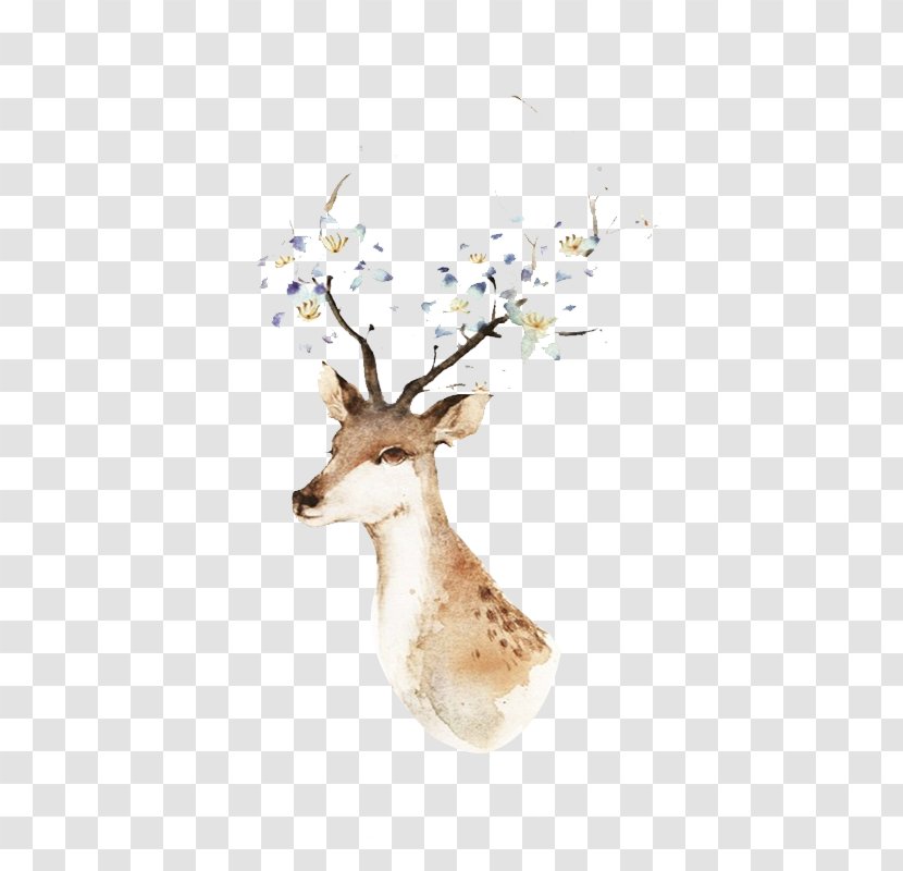 Watercolor Painting Drawing Illustration - Cartoon - Deer Transparent PNG