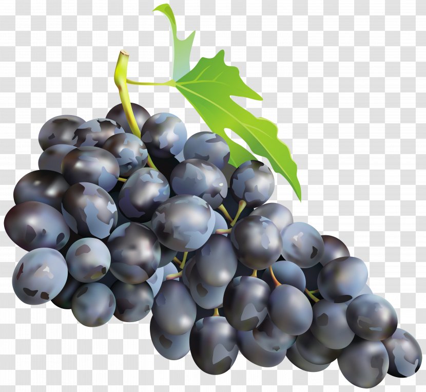 Muscat Muscadine Grape Must - Seed Extract - Black Grapes Clip Art Image Transparent PNG