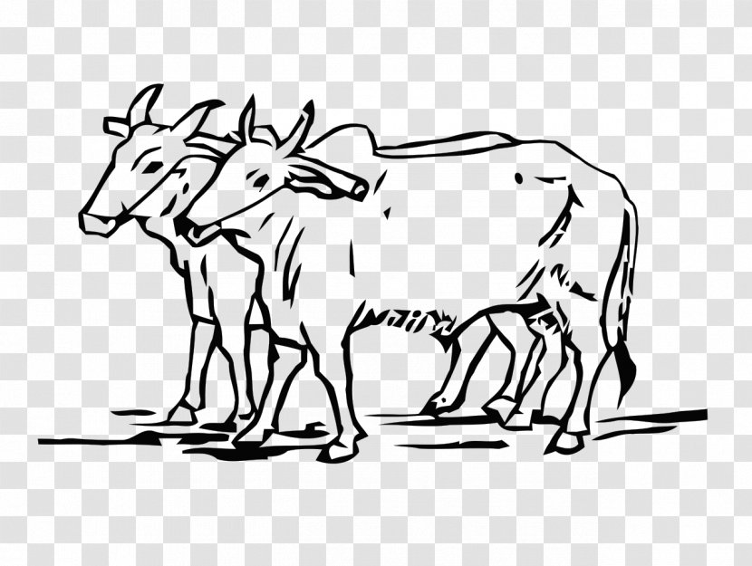 Ox Cattle Drawing Line Art Do Bailon Ki Katha - Pencil Transparent PNG
