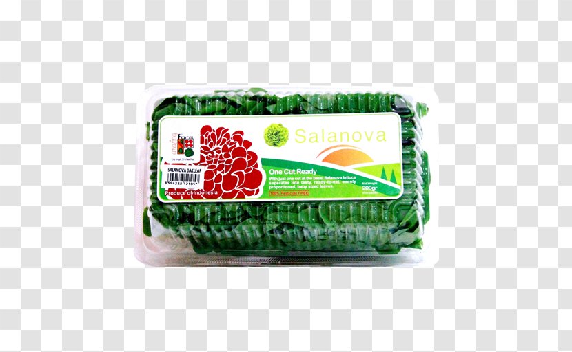 Product Lettuce Tagline Food Leaf - English Oak Transparent PNG