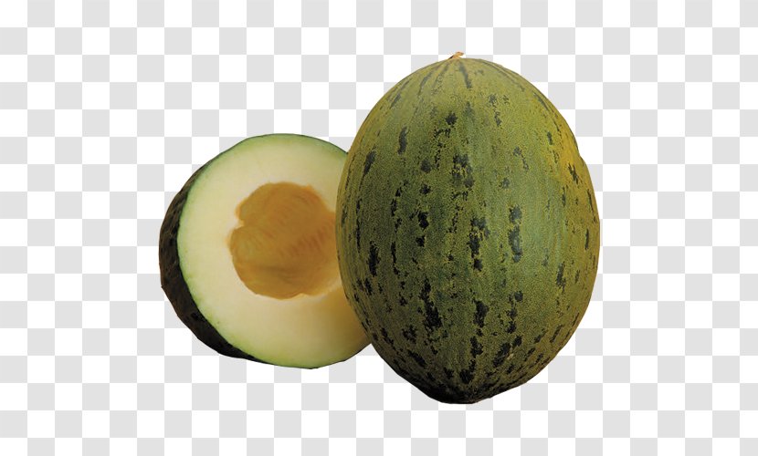 Galia Melon Honeydew Cantaloupe Watermelon - Cucumber Gourd And Family - Hami Transparent PNG