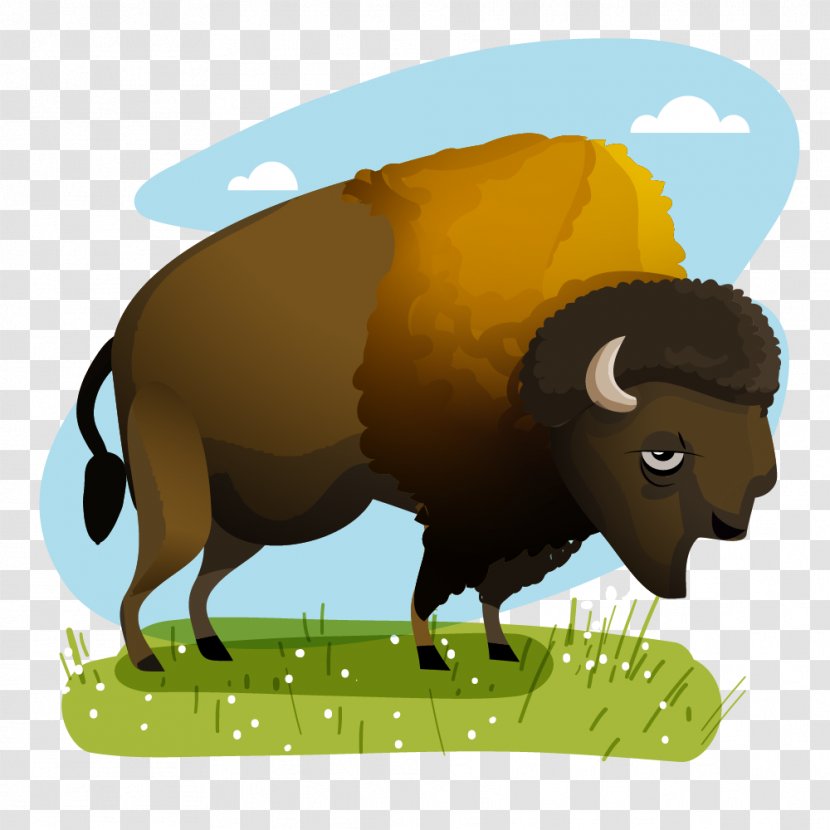 Dairy Cattle Sheep Mexico American Bison - Cow Transparent PNG