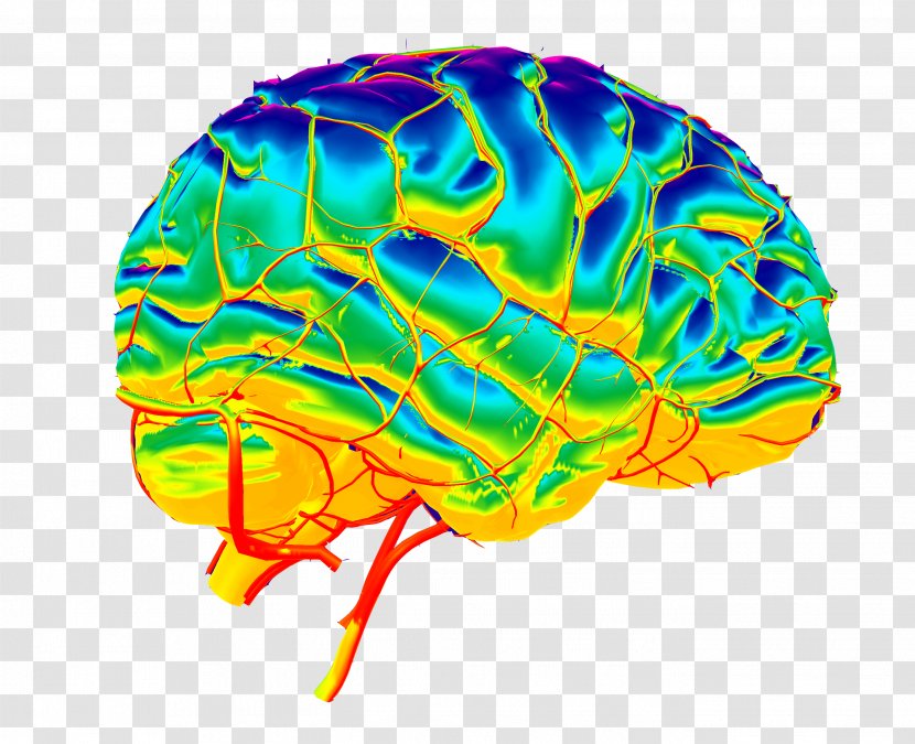 Brain Organism - Frame Transparent PNG