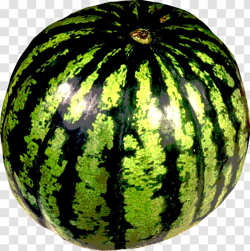 Watermelon Clip Art Transparent PNG