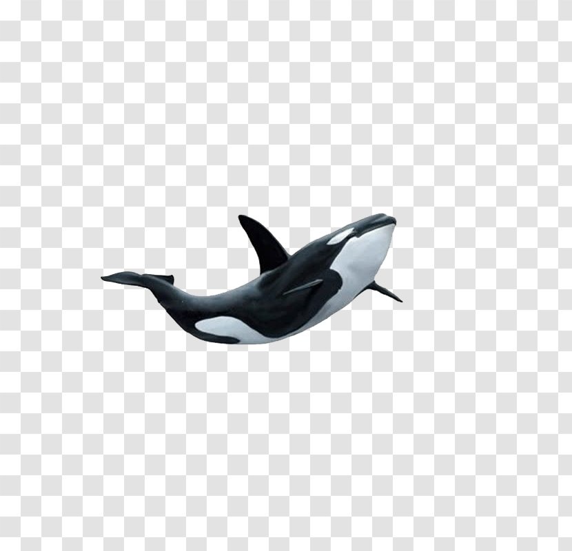 Petits Contes Illustrxe9s LES CENT PREMIERS MOTS EN ANGLAIS AUTOCOLLANTS Marine Mammal DeviantArt - Dolphin - Shark Transparent PNG