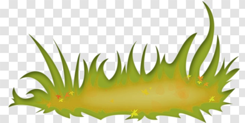 Drawing Herbaceous Plant Ut'os Meadow - Green Transparent PNG