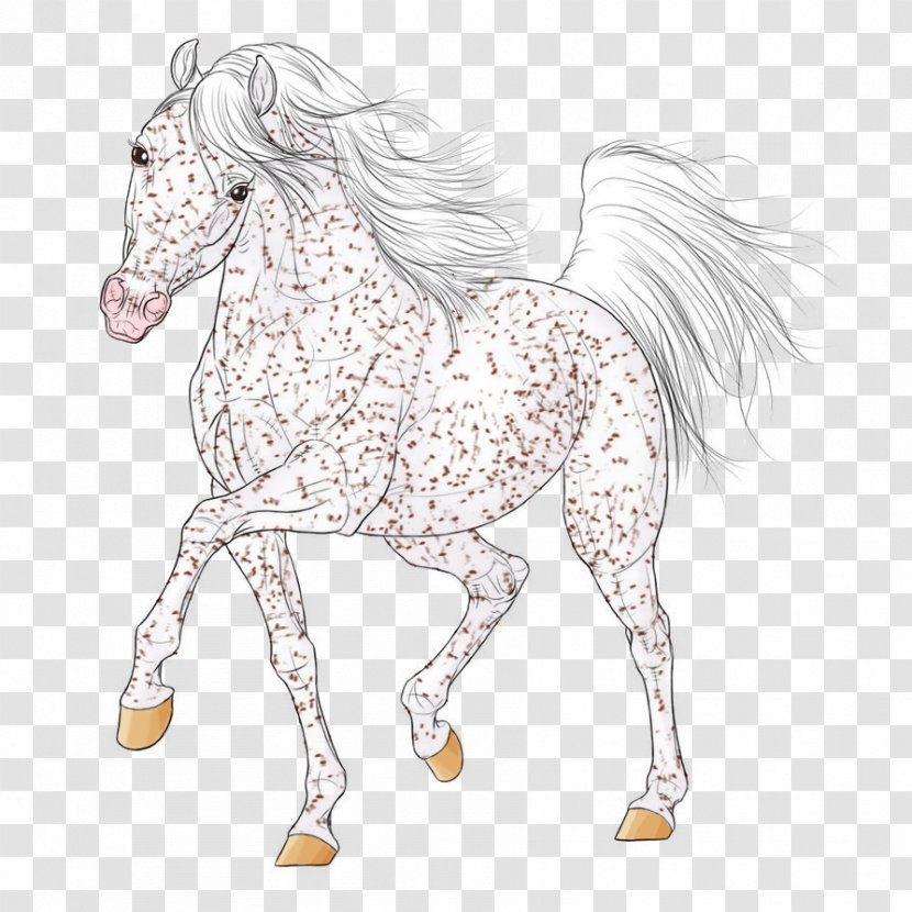 Mane Mustang Stallion Colt Bridle - Pack Animal Transparent PNG