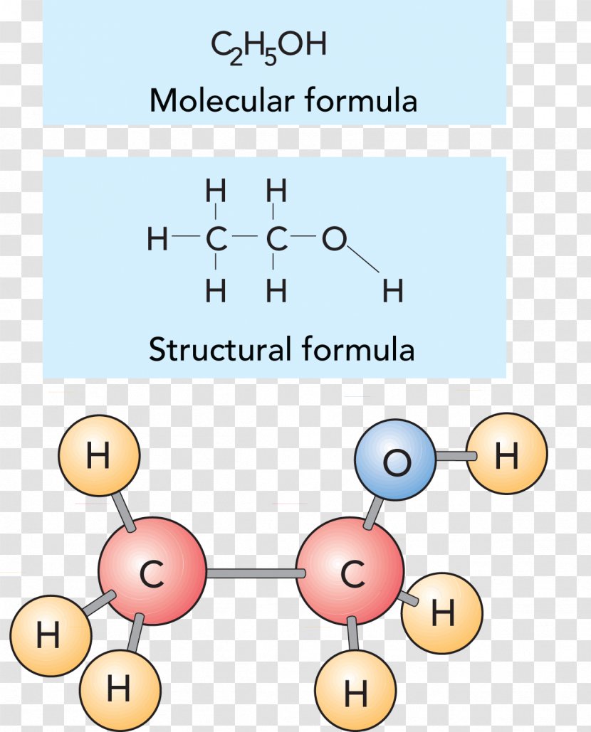 Human Behavior Line Point Organism Angle - Text Transparent PNG