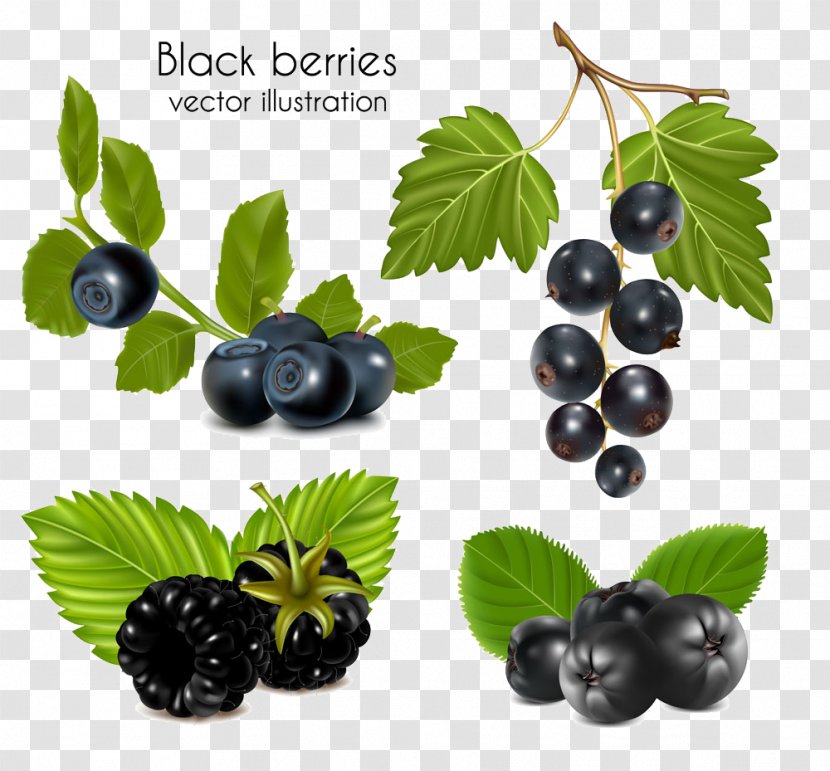 Juice Blackcurrant Berry Clip Art - Food - Blueberry Raspberry Image Transparent PNG