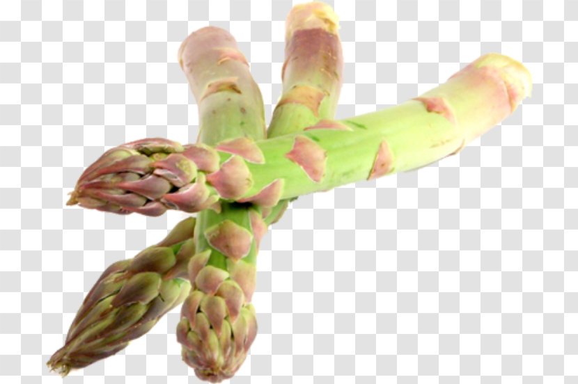 Asparagus Acutifolius Food Adenium Obesum Plant - Grocery Store - Shop Transparent PNG