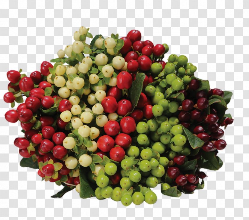 Cranberry Perforate St John's-wort Lingonberry Flower Food - Hypericum Berries Transparent PNG