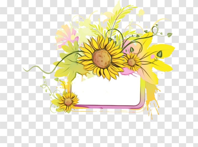 Flowers Background - Floral Design - Daisy Family Transparent PNG