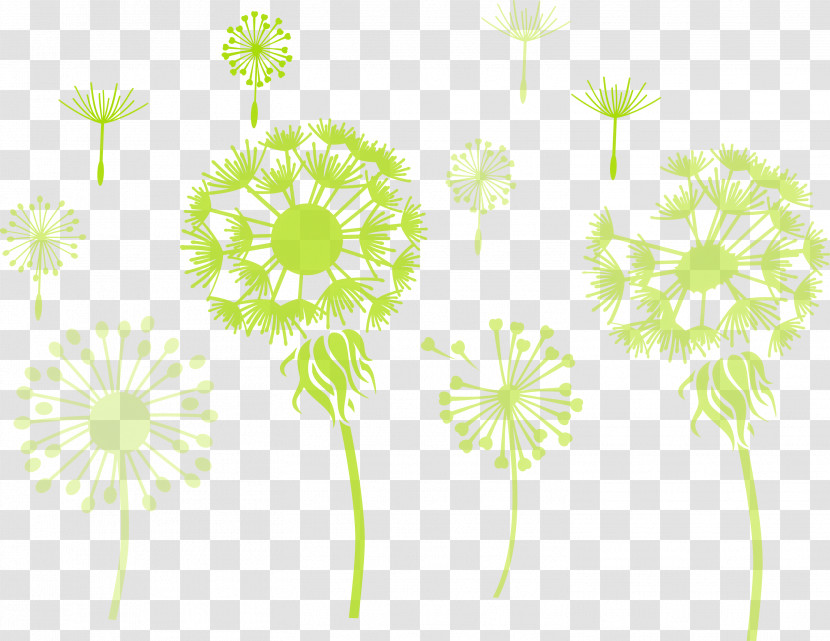 Dandelion Transparent PNG