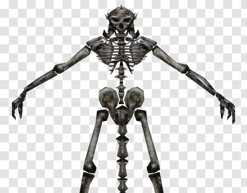 Figurine - Action Figure - Skeleton Model Transparent PNG