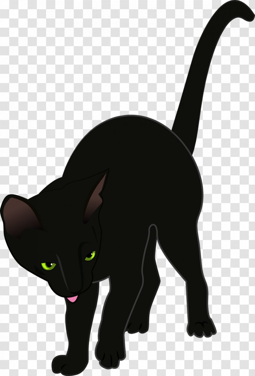 Black Cat Clip Art - Mammal Transparent PNG