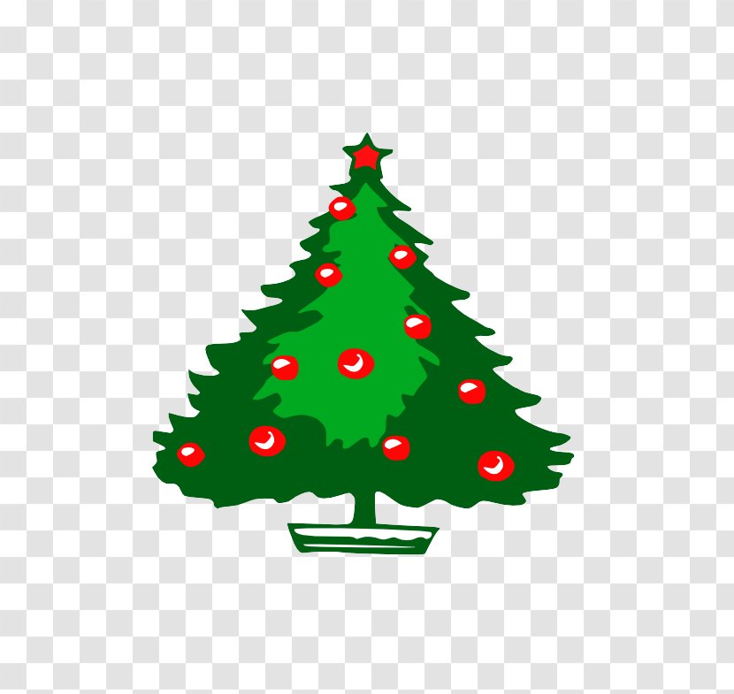 Christmas Tree - Pine - Conifer Transparent PNG
