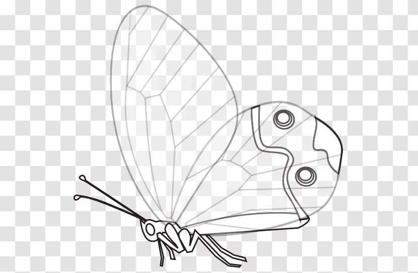 Butterfly Black And White Drawing Clip Art Transparent PNG
